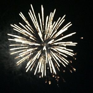 Meet your Posher, Lulu